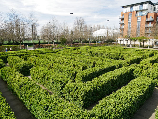 Coronation Gardens Hedge Maze