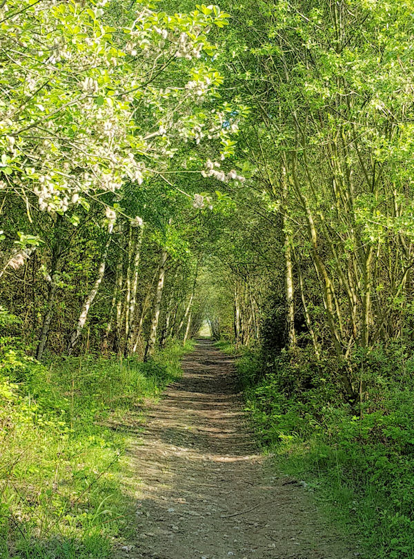 Canvey Wick Path